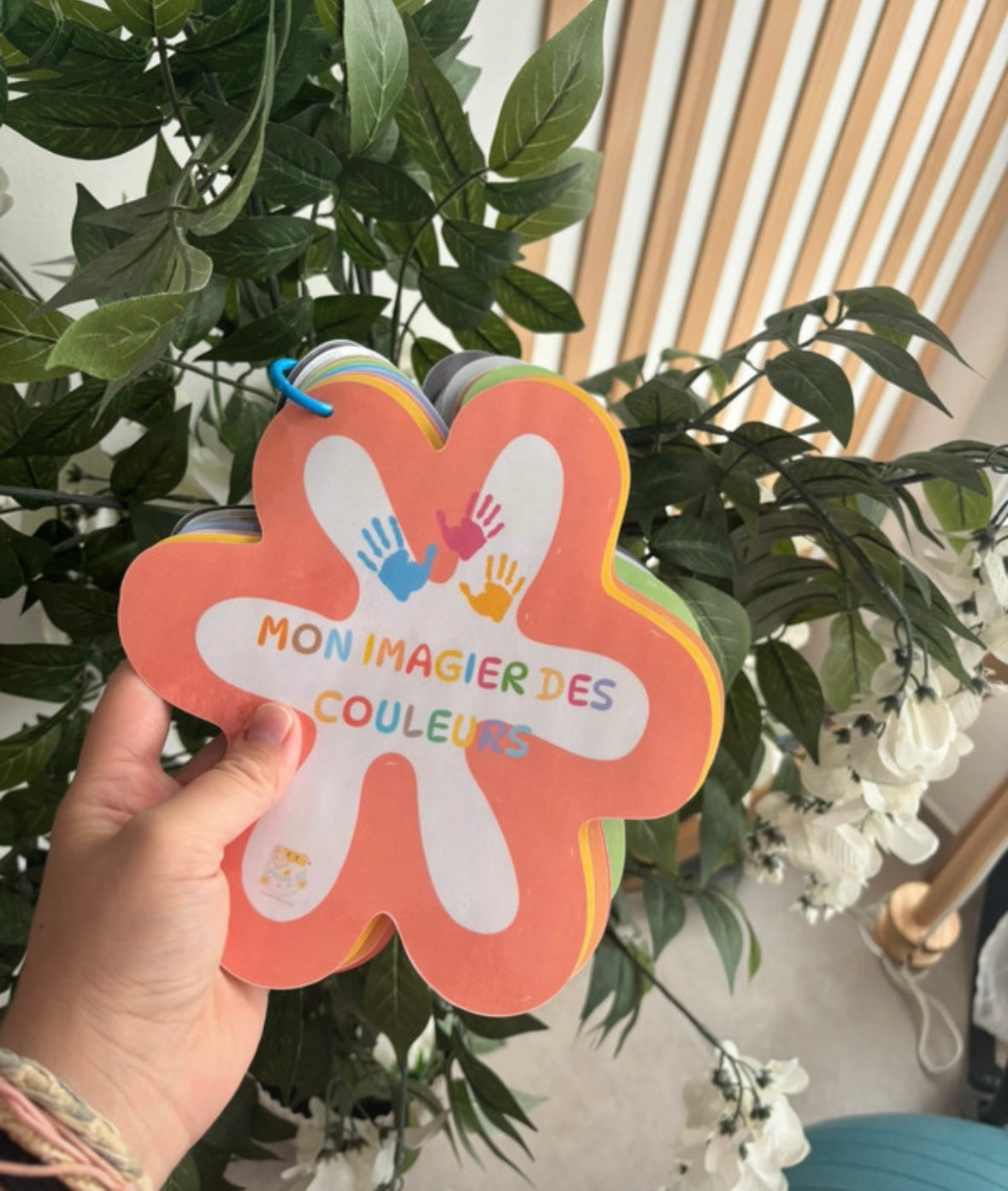 Imagier des couleurs - PDF 🎨